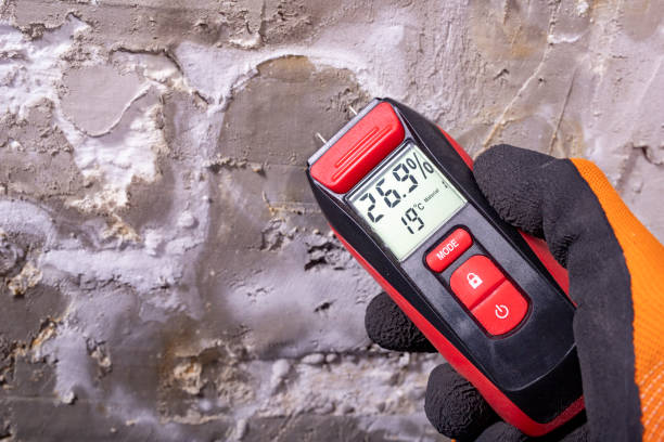 Best Post-Flood Mold Remediation in Eureka Mill, SC