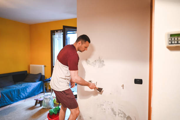 Best Black Mold Remediation in Eureka Mill, SC